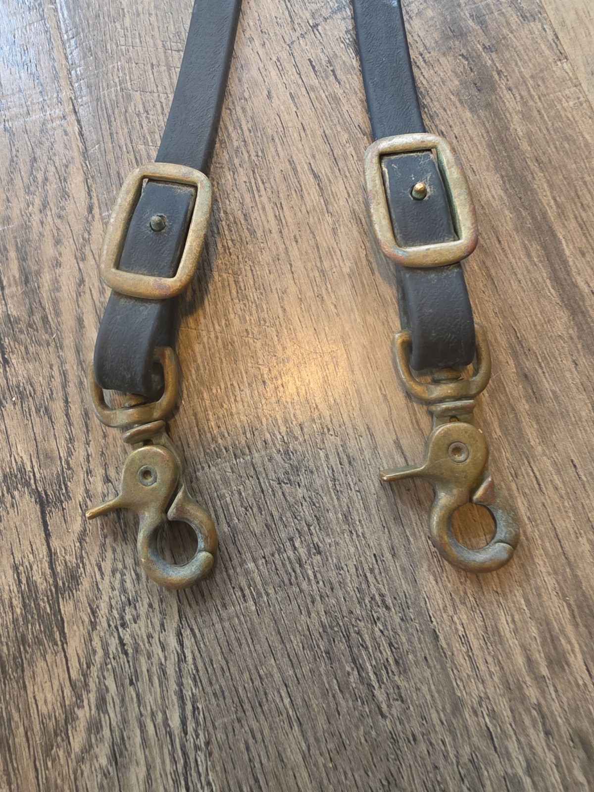 biothane reins