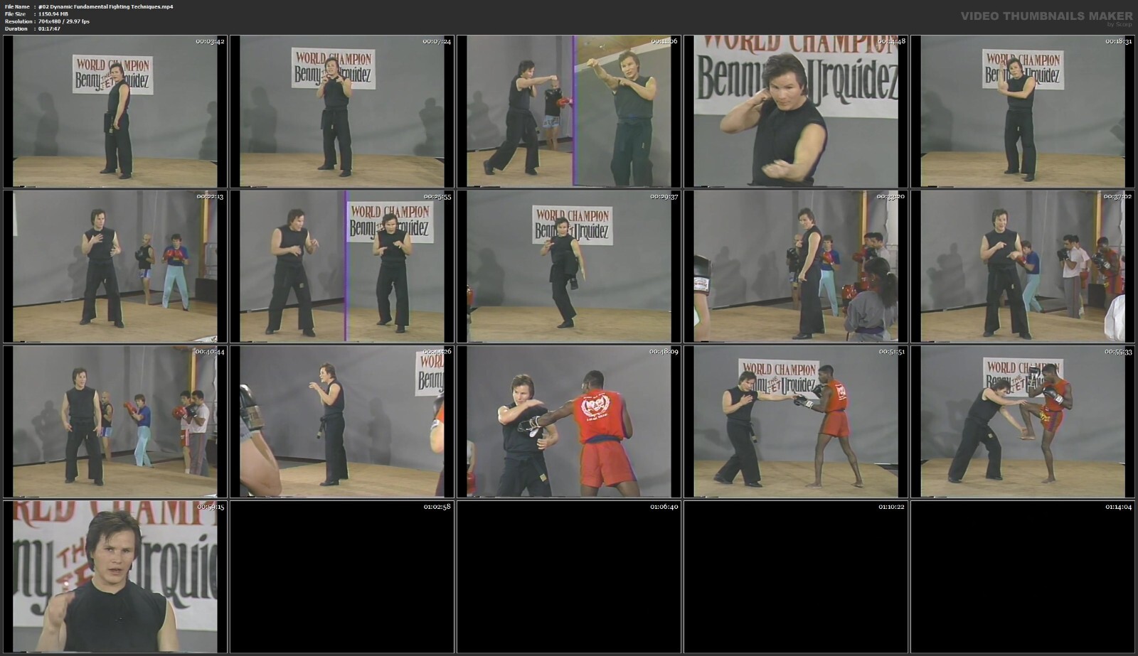 Dynamic Kickboxing Training starring Benny Urquidez (8 DVD Set)