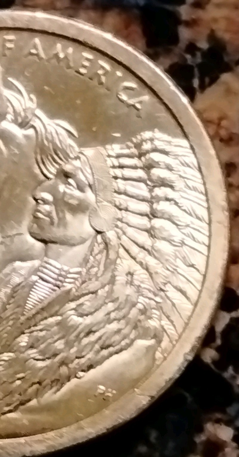 Native American 2012 P One Dollar Coin
