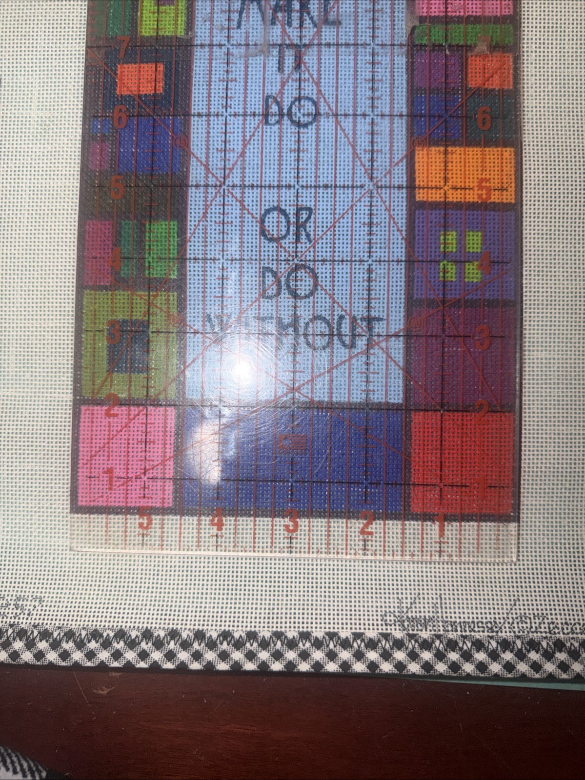 Hand Painted Needlepoint Canvas - Use It Up Quote by Zecca