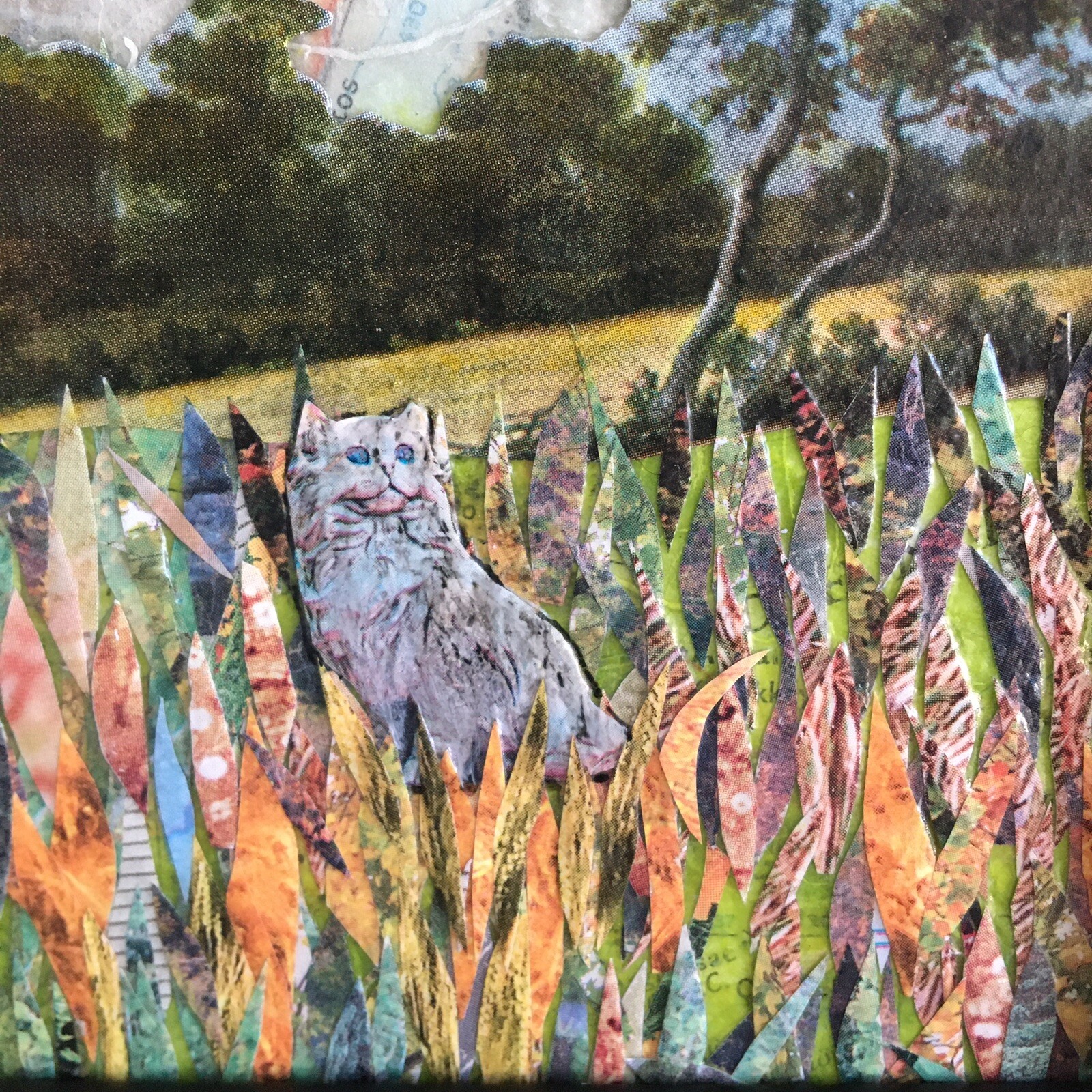 Original Orange Cat Mixed Media Signed and Framed Wall Art 14.5" x 12.5"