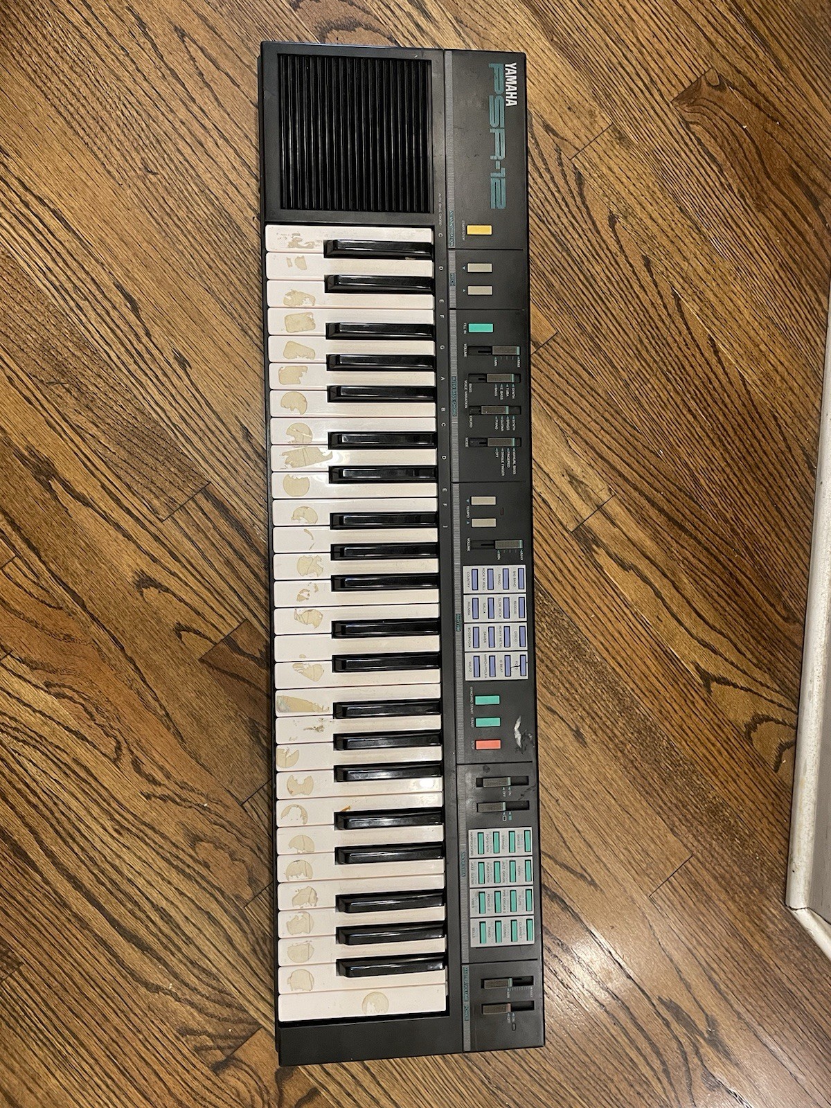 Yamaha PSR-12 49-Key Portable Synth Electronic Keyboard, Black, Built-In Speaker