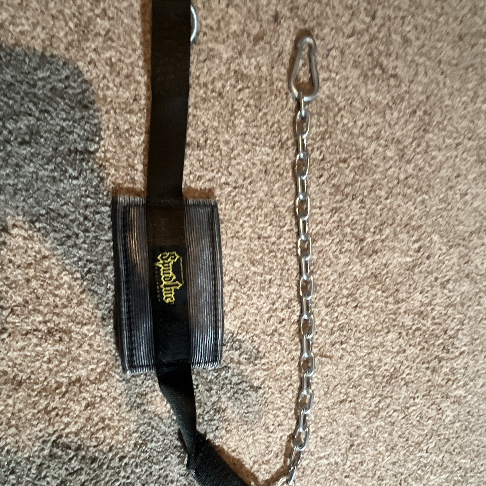 Spud, Inc. Black Nylon Belt for Dips or Pull Ups, Steel Chain & Carabiner