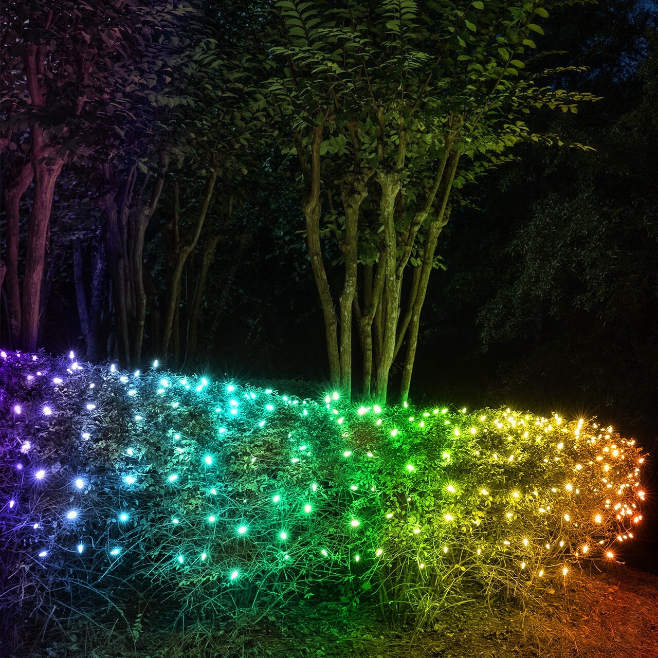 PLC LED Net Lighting 6.5 foot X 6.5 Foot RGB Color Changing Chasing Effects