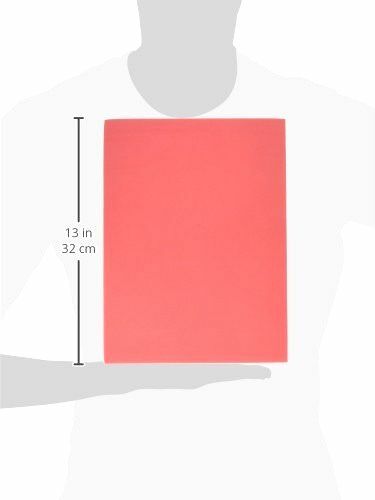 Darice Basic Colors Foamies Sheets, Assorted