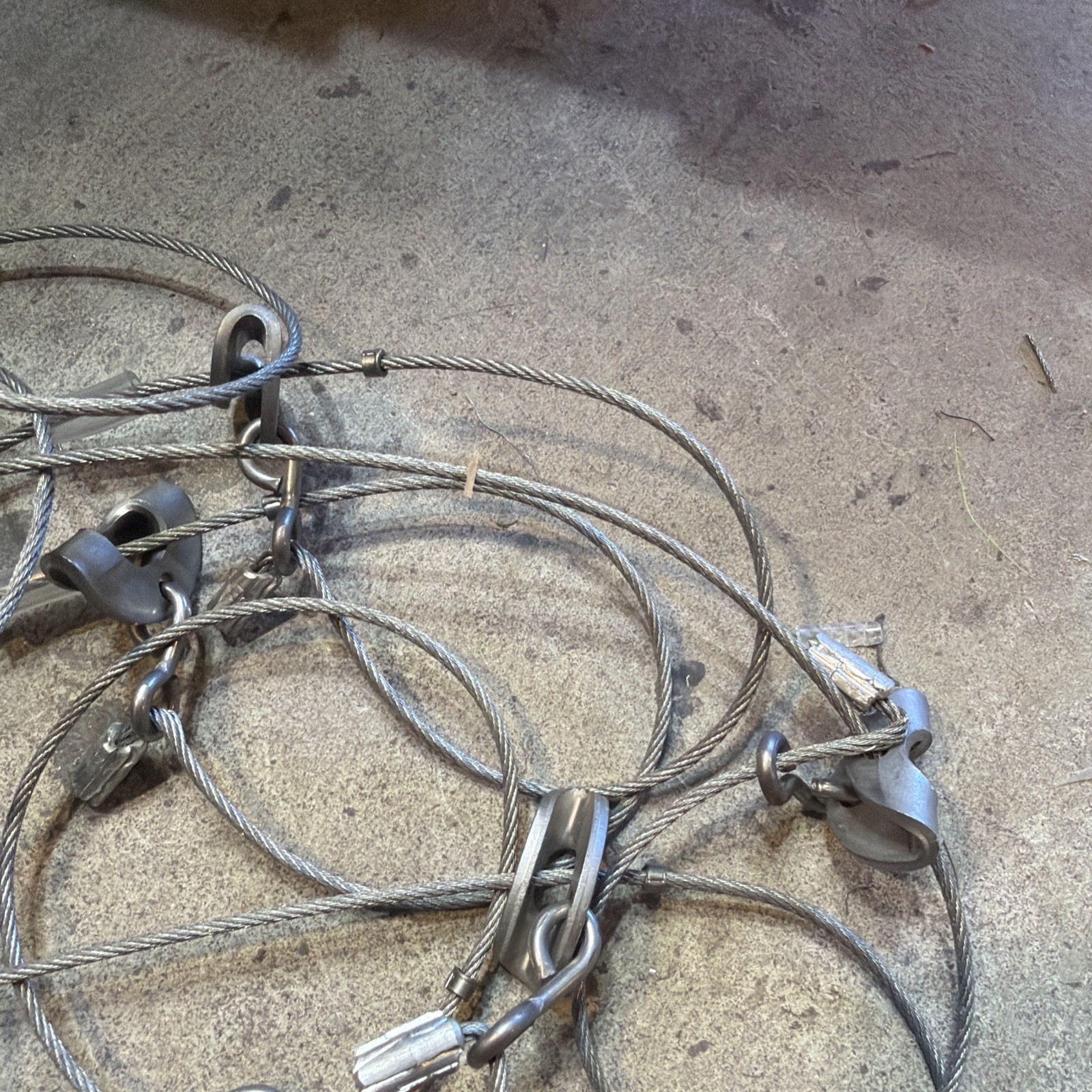 8 Coyote Snares with 21/2” stop Loaded 41/2’ long