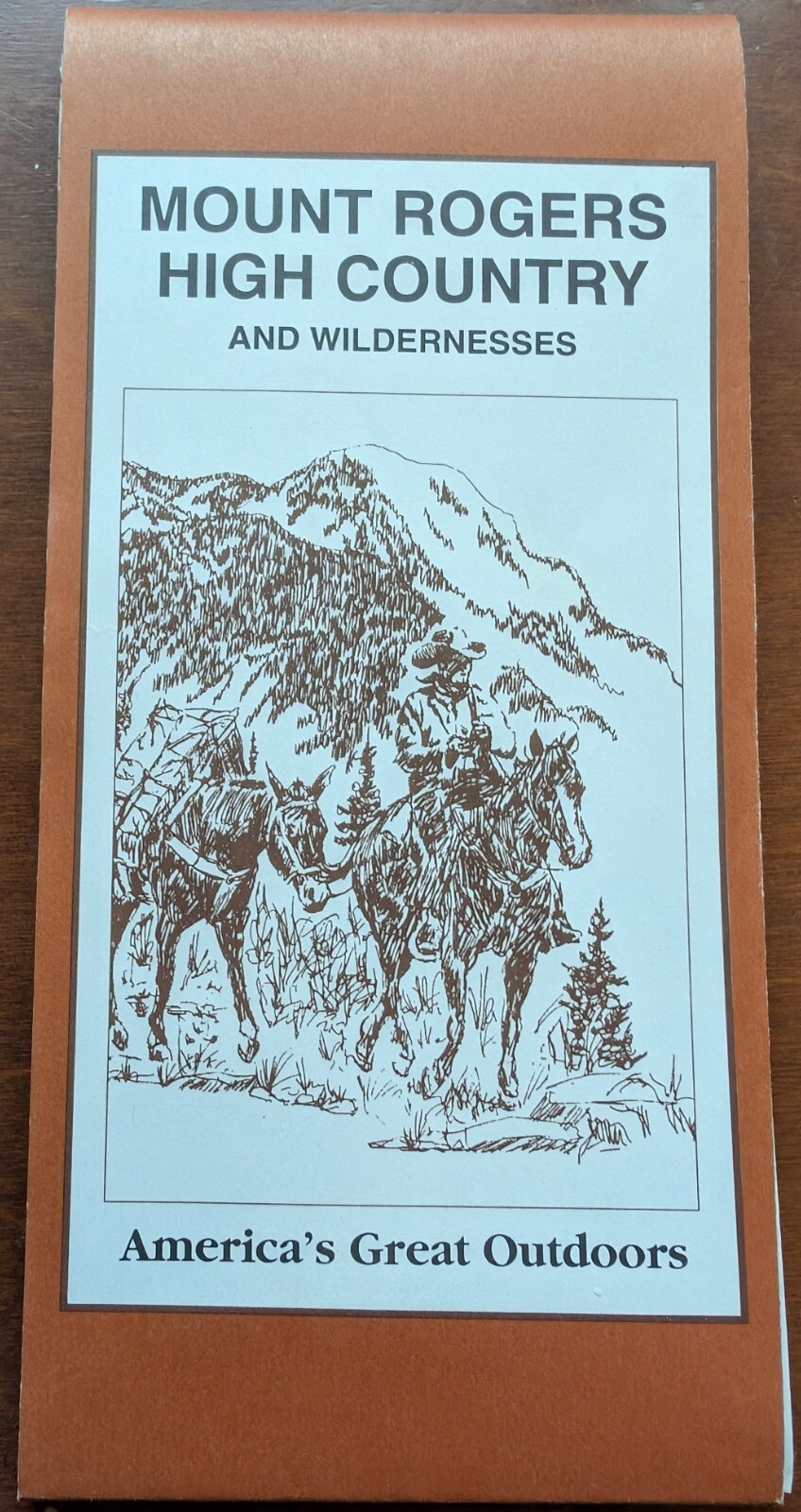 Topo Map Mount Rogers High Country, Virginia, 1995 USFS unused EXCELLENT COND.