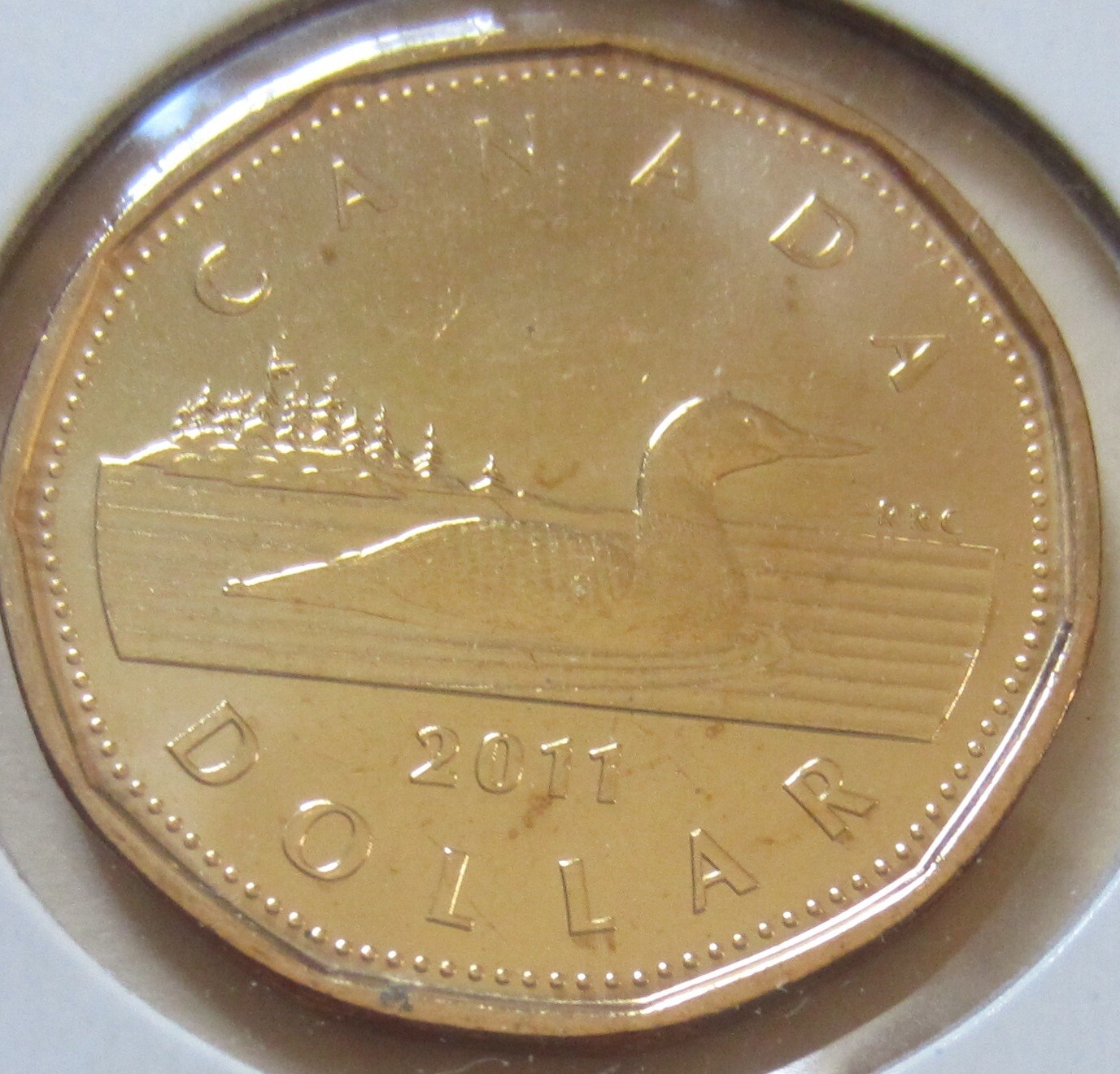 2011 Canada Regular Loonie One Dollar Coin. Mint UNC. $1 Loon