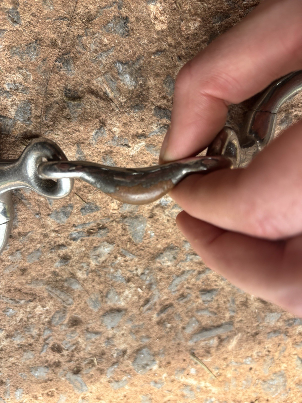5” Centaur Stainless Steel Copper Quarter Moon Eggbutt Horse Snaffle Bit