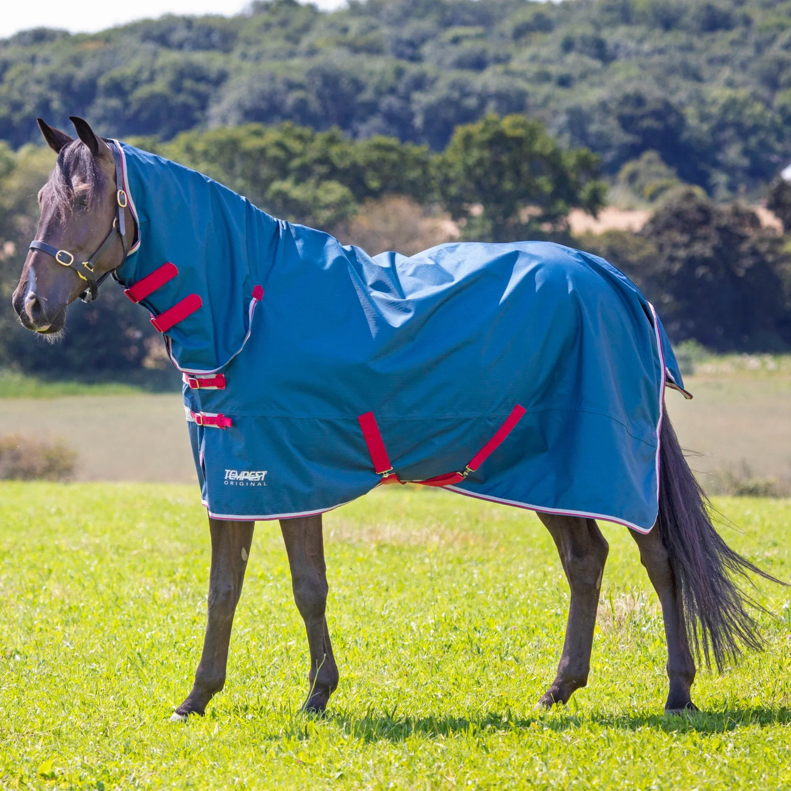 Shires Tempest Original Lite Turnout Combo Rug - 0g Fill Lightweight Horse