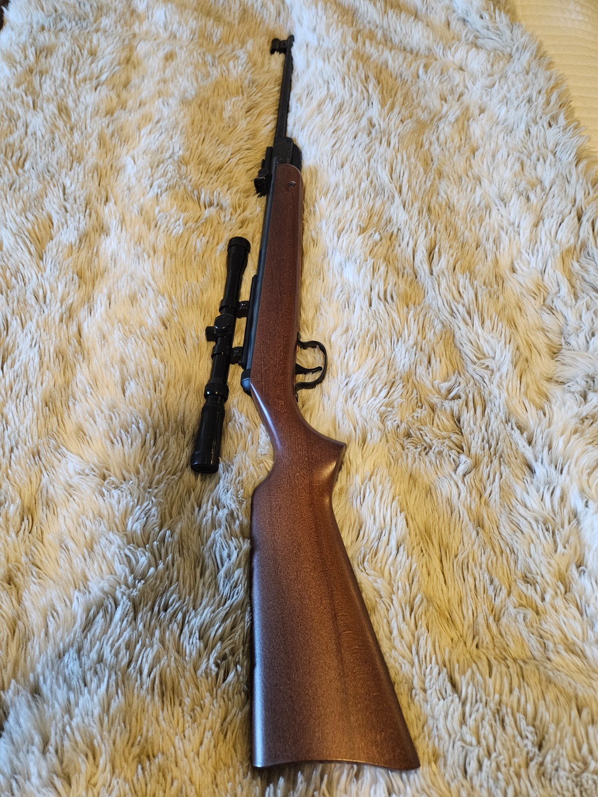 RWS Diana Model 24 D Air Rifle Pellet Rifle .177 German Made w/ Scope