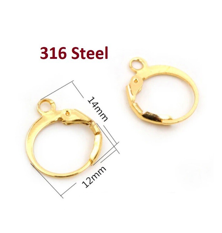10 pcs (5 pairs) 316 Stainless Steel Leverback Earrings – Golden - 14mm x 12mm