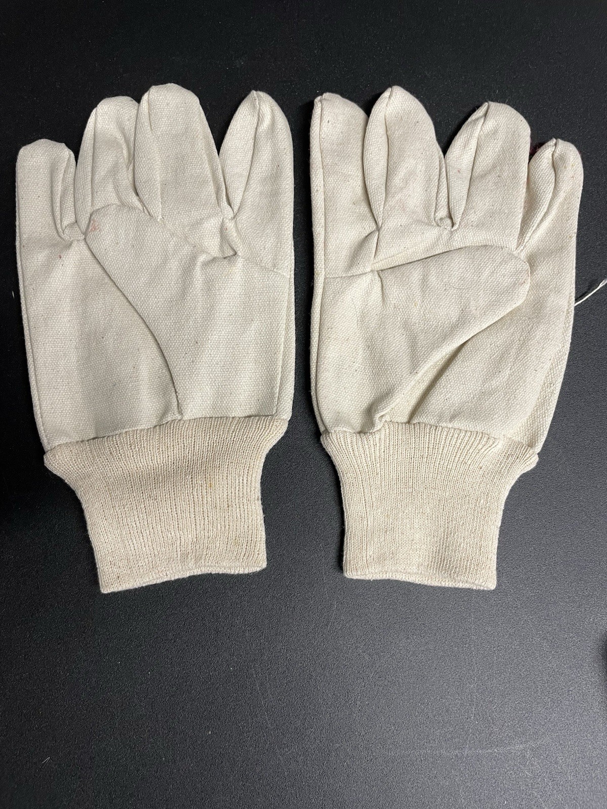 Gardening Accessories - Decorative & Usable Gloves And Tools