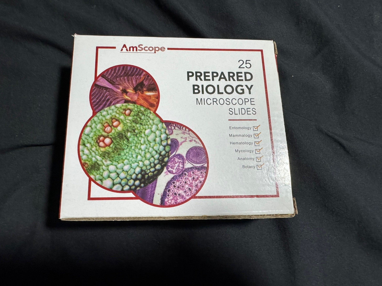 AmScope 25 Prepared Biology Microscope Slides Etymology Hematology - New