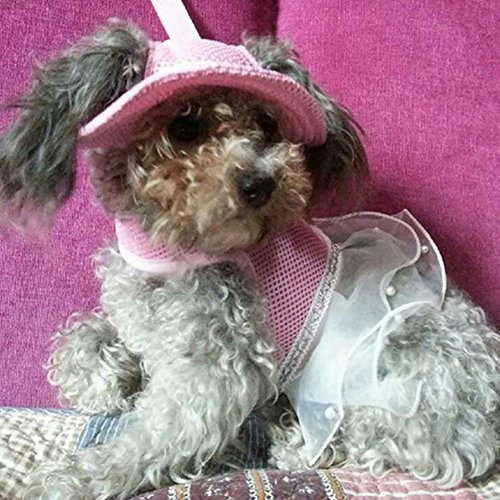 Round Brim Princess Hat Visor S(head width: 3.54" circumference:12.59") Pink