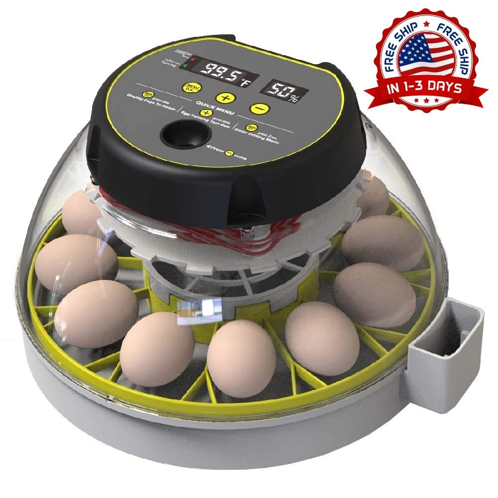 Incubadora Para Incubar Huevos - Capacidad Para 12 Huevos, Volteador Automático