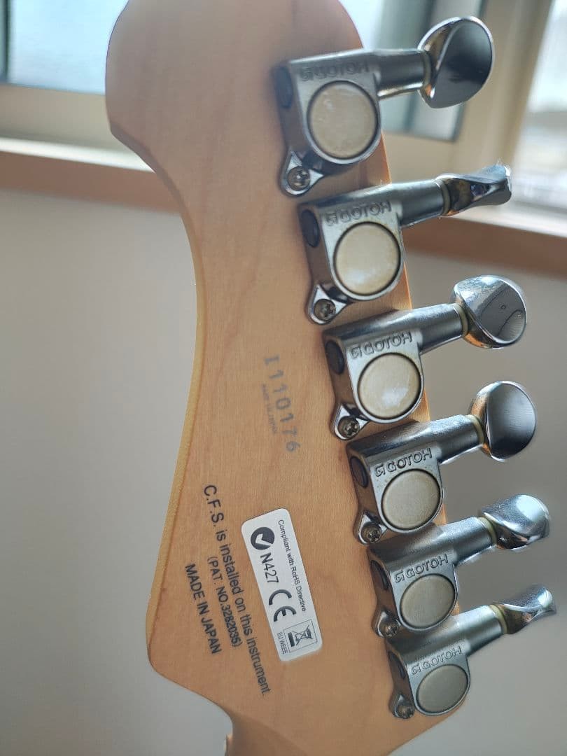 Fujigen J-Standard Safe delivery from Japan