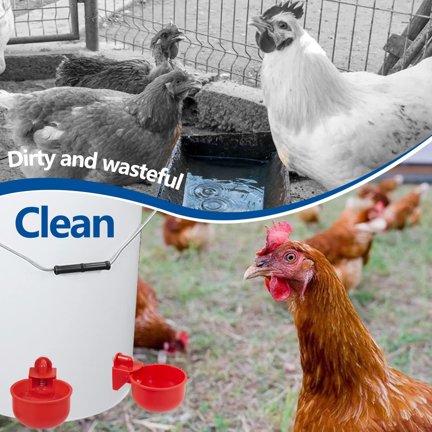 Outdoor 5 Gallon Chicken Waterer - 4 Pack Durable Automatic Cups Included