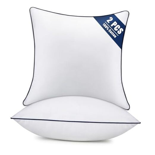Throw Pillow Inserts Set of 2-Fluffy Square 20x20 Inch (Pack of 2)-Blue Edge