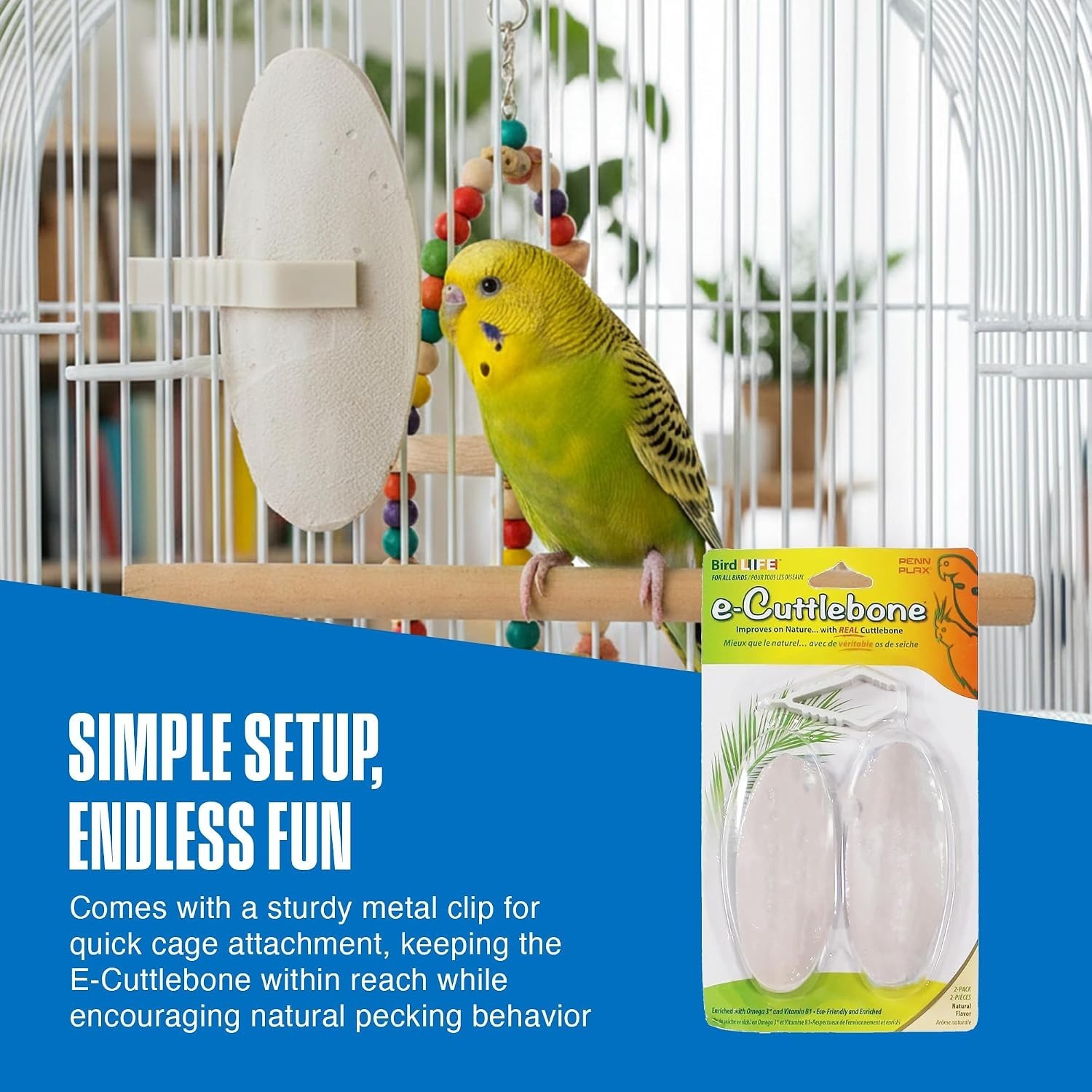 Durable Bird Cuttlebone (2 Pack) - Immune Support & Feather Health Essential