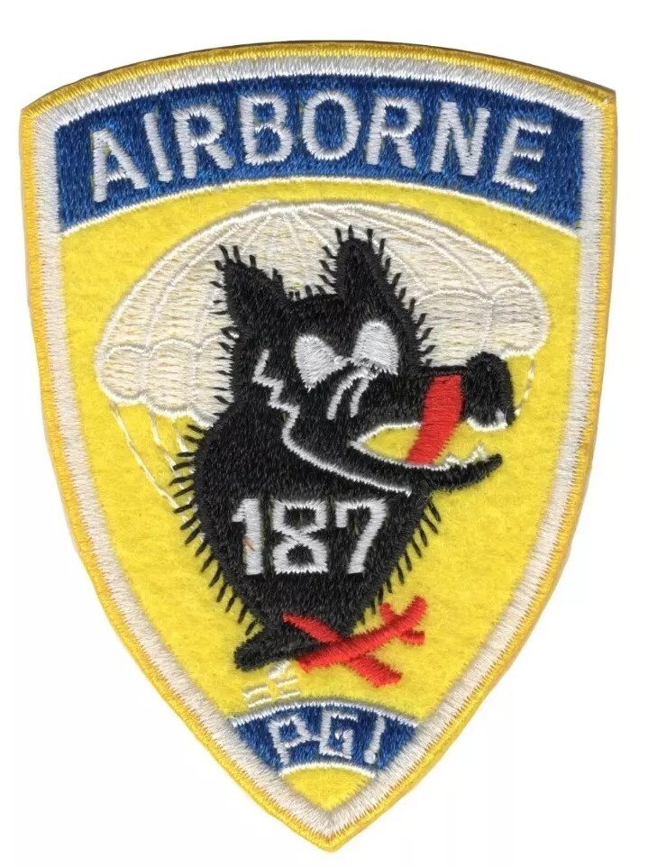 US ARMY PATCH 187th AIRBORNE INFANTRY REGIMENT PARAGLIDER INFANTRY RAKKASANS VTG