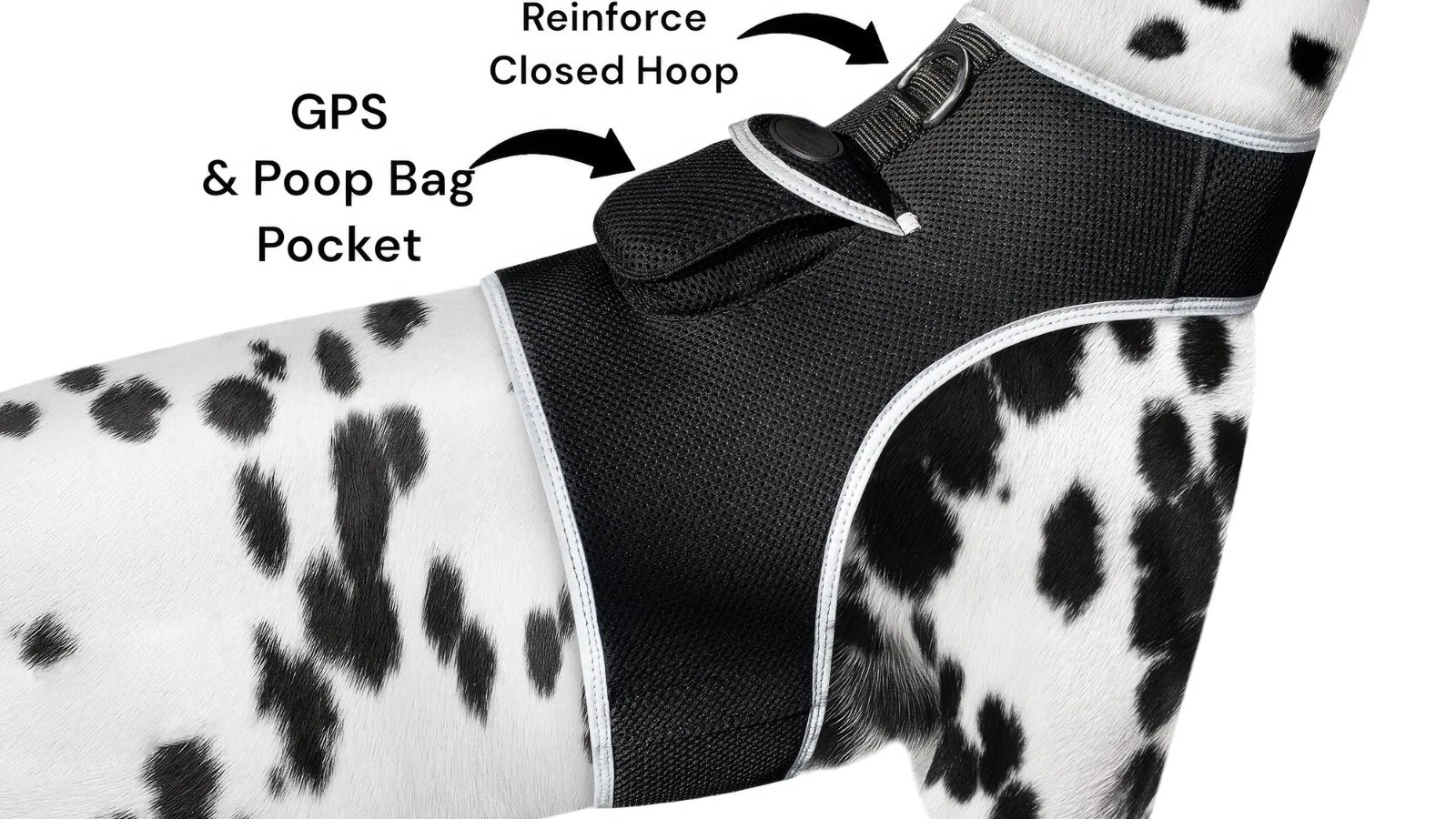 iTrackPET MINI GPS Dog Tracking and Training Collar Device
