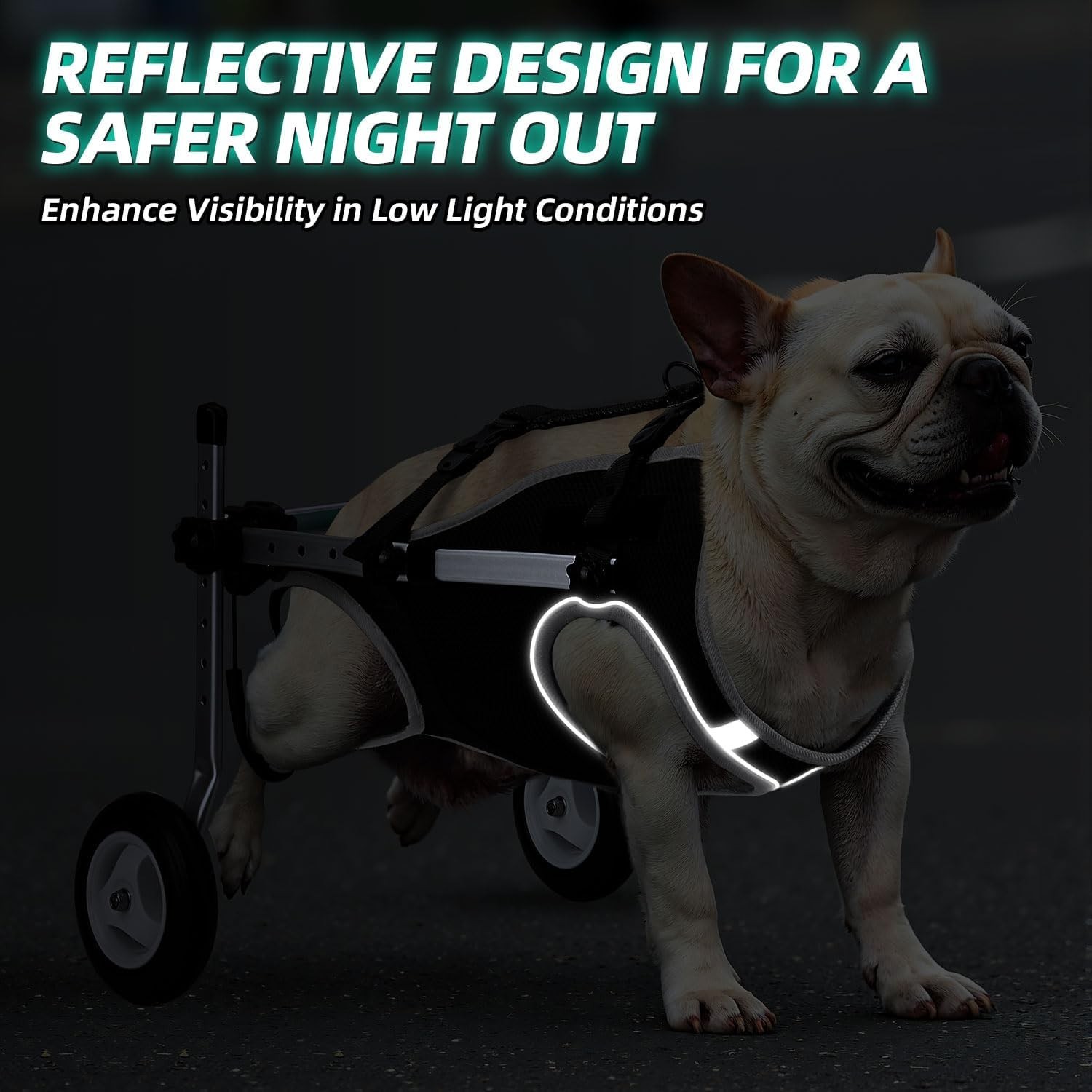 Lightweight Portable Dog Wheelchair for Back Legs Small