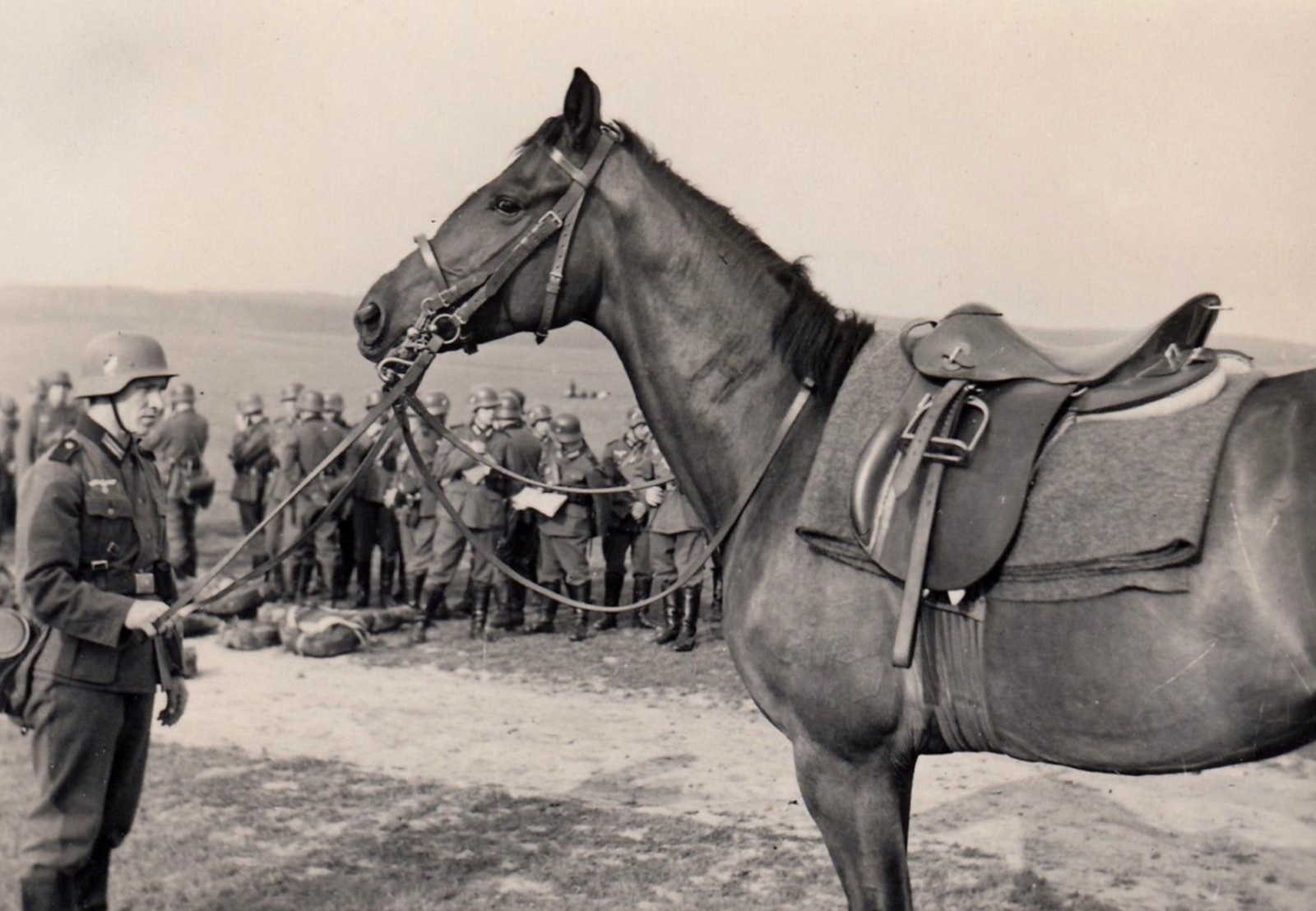 WW2 Photo WWII German Soldier with Horse   World War Two Wehrmacht / 2474