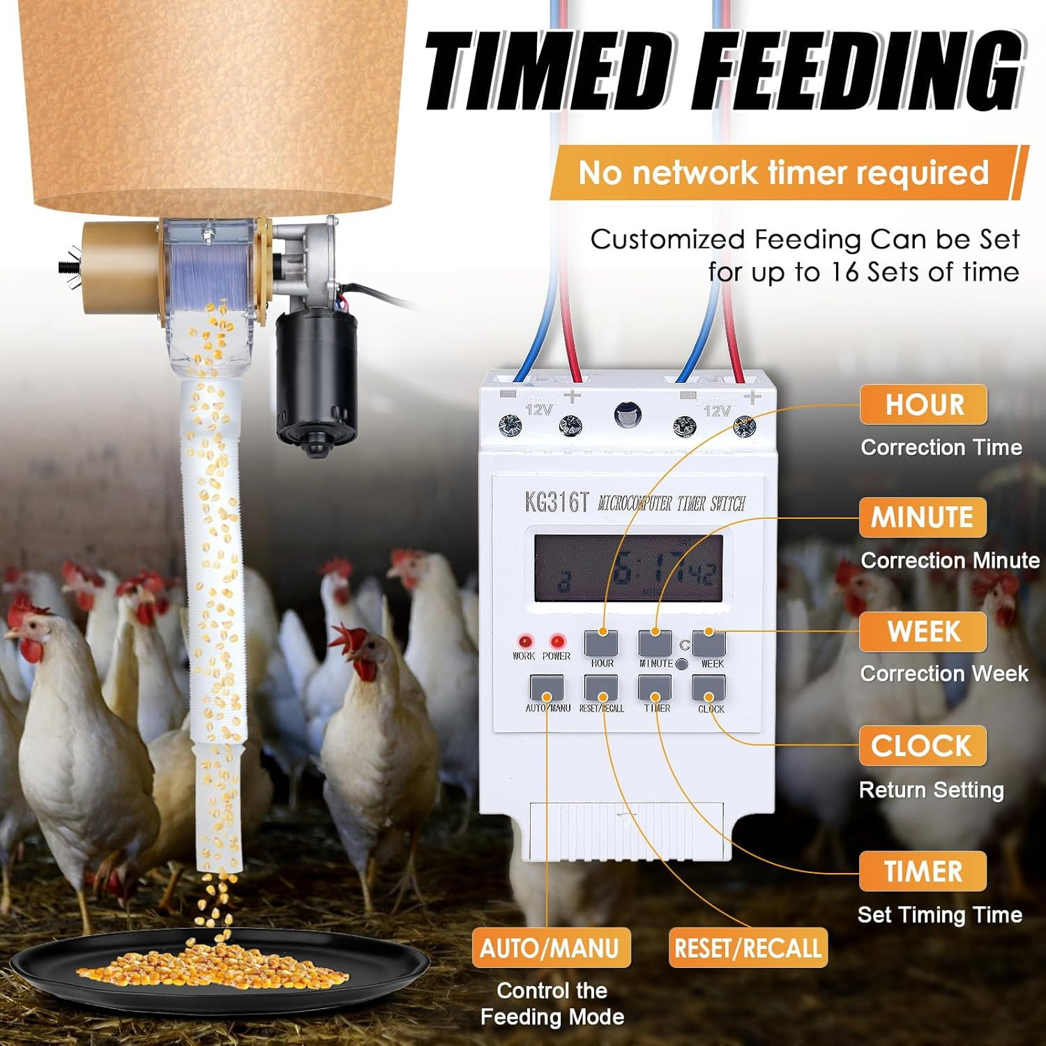 Timed Automatic Chicken Feeder 16 Groups of Timer & Quantitative | Chicken Feede