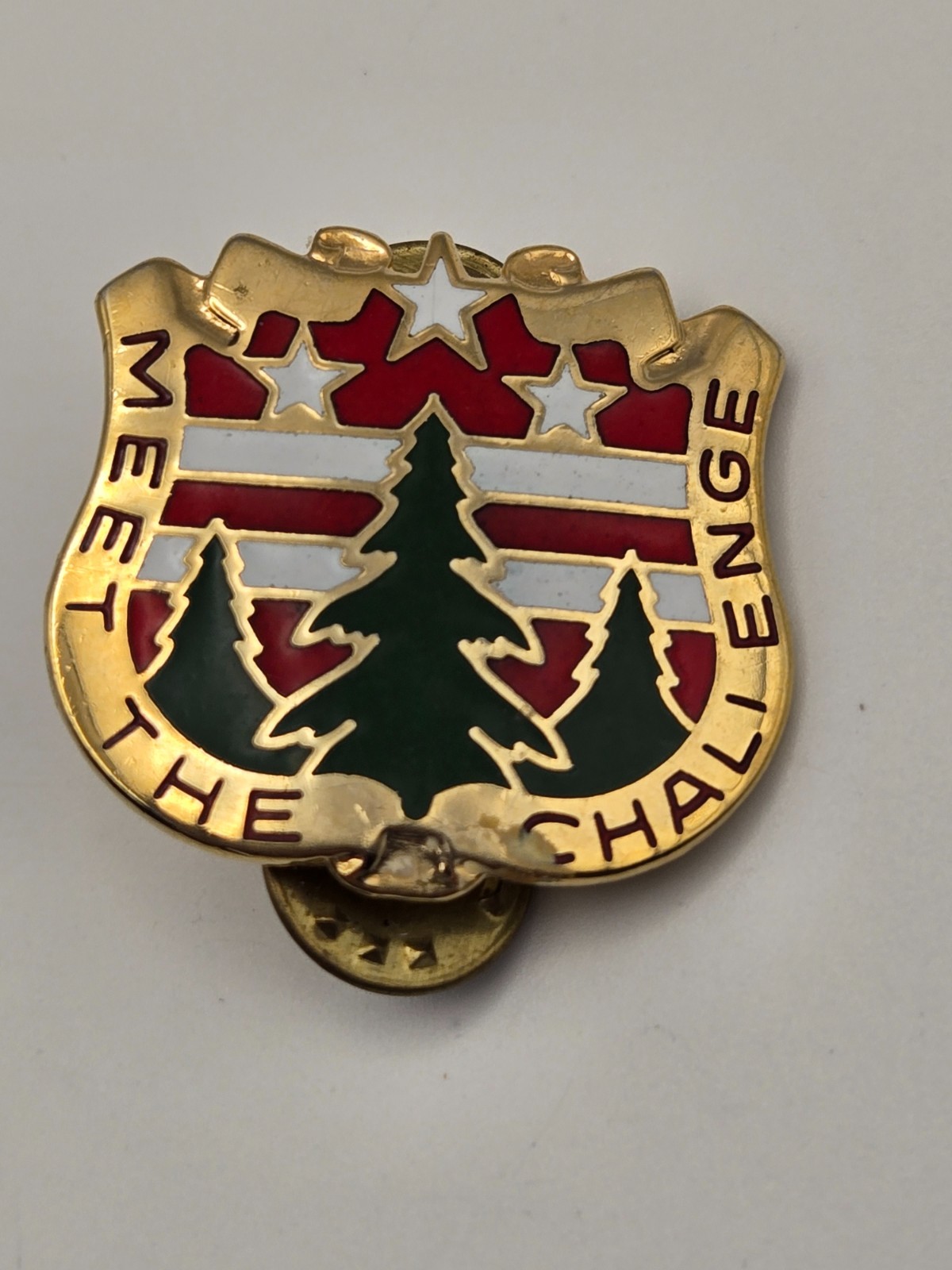 Vintage Army DUI Pin - "Meet the Challenge" 124th Army Reserve Command