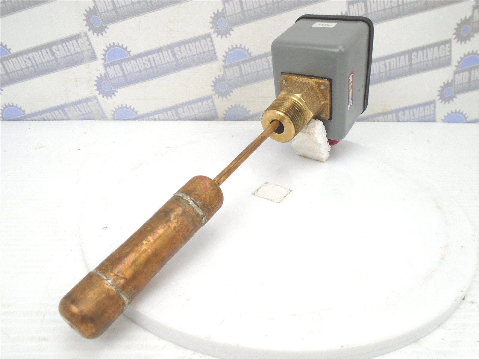 BAC - BALTIMORE AIRCOIL - 310620 - F63FF - FLOAT SWITCH - SNG P, DBL Throw (NEW)
