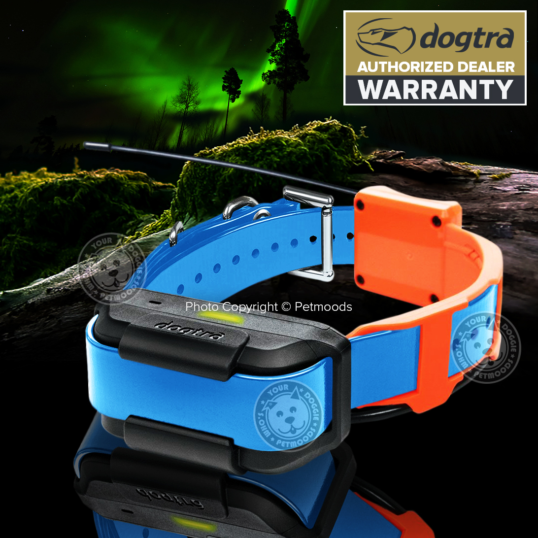 Dogtra Pathfinder TRX Additional Blue Dog Collar Tracking & Hunting GPS-Only