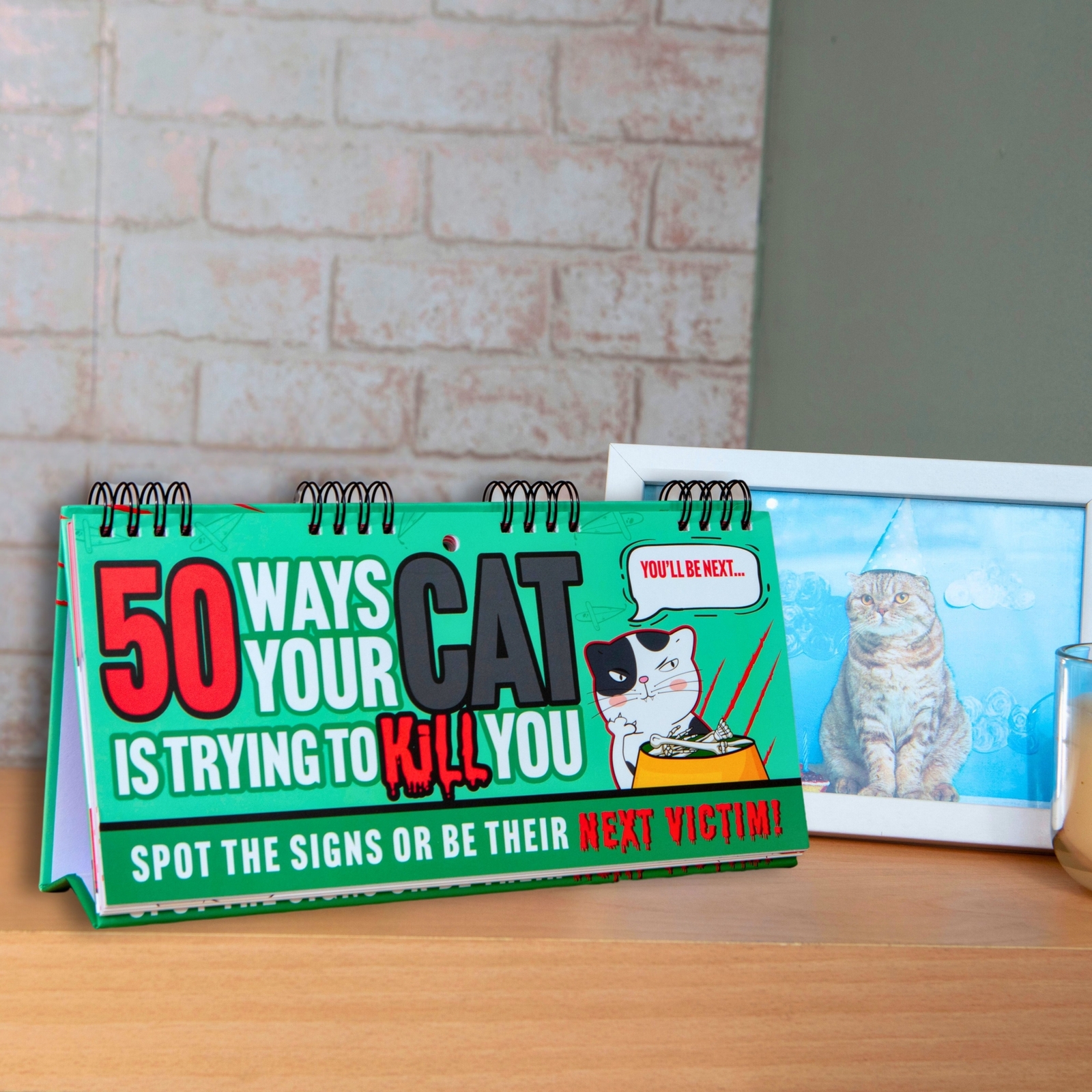 50 Ways Your CAT is Trying to KILL YOU!  Funny Desk Spiral Flip Book Signs