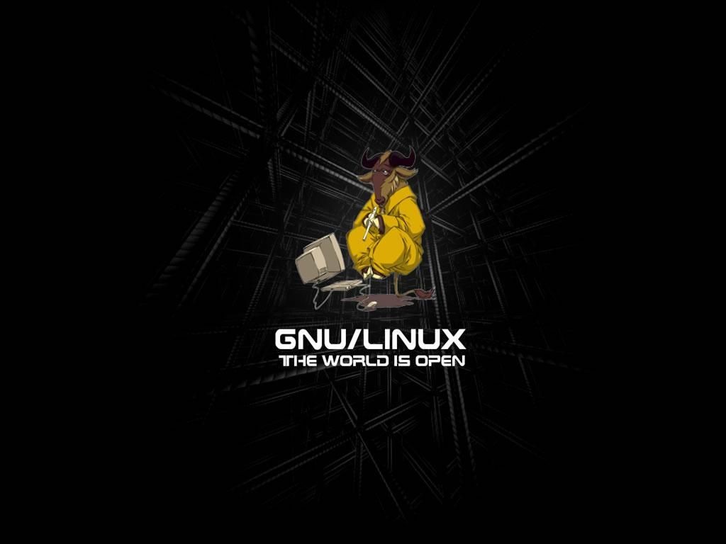 linux Operator system in DVD all distros
