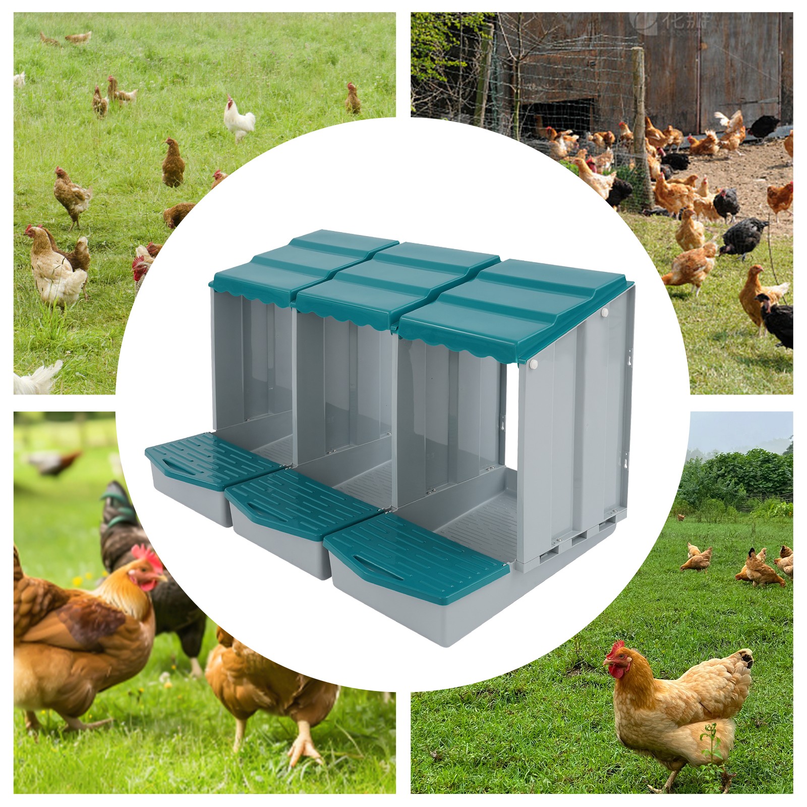 3 Compartments Hen Laying Box PP Chicken Egg Nexting Boxes for Chicken Coop