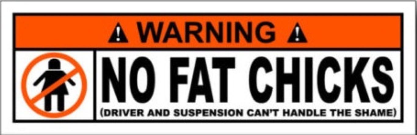 WARNING NO FAT CHICKS STICKER  LAPTOP STICKER HARD HAT STICKER HELMET STICKER