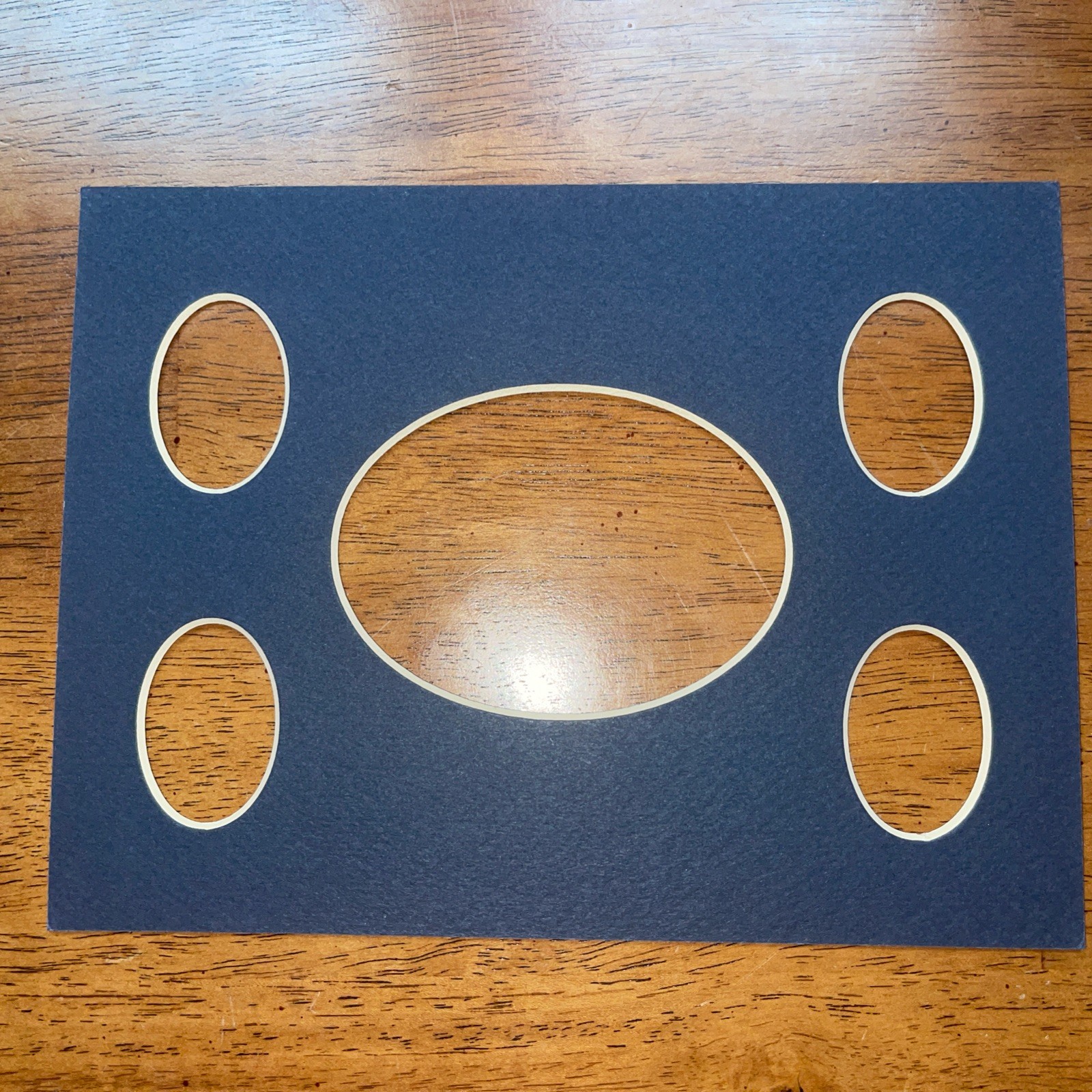 6"X8" Single Mats With Cut-Outs For US Coins And/Or Collectibles