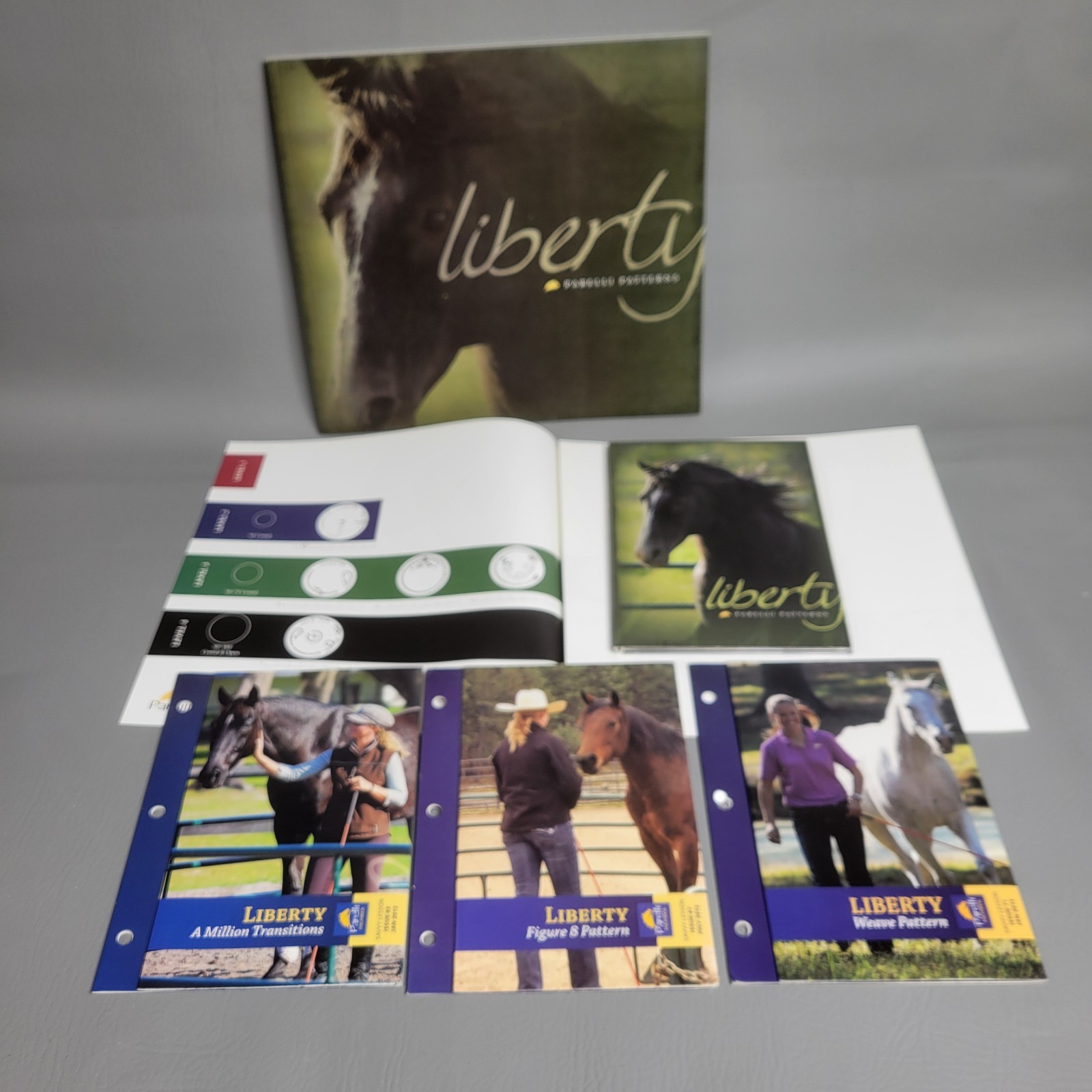 Liberty Parelli Patterns - Natural Horsemanship Equine Training