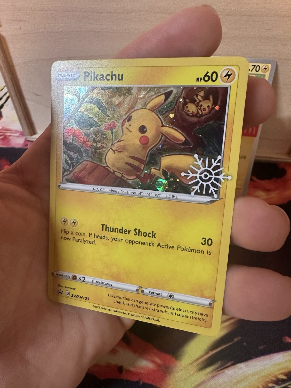 Pokémon Pikachu Mix Lot