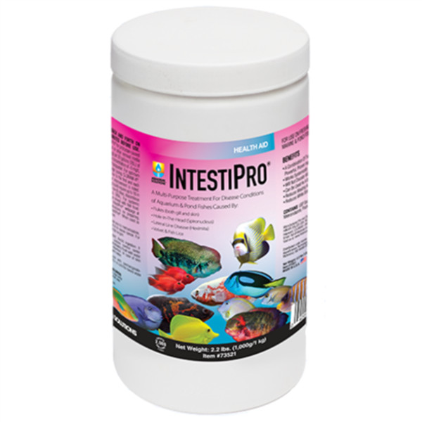 Hikari IntestiPro 2.2 lbs - Treats 2000 Gallons