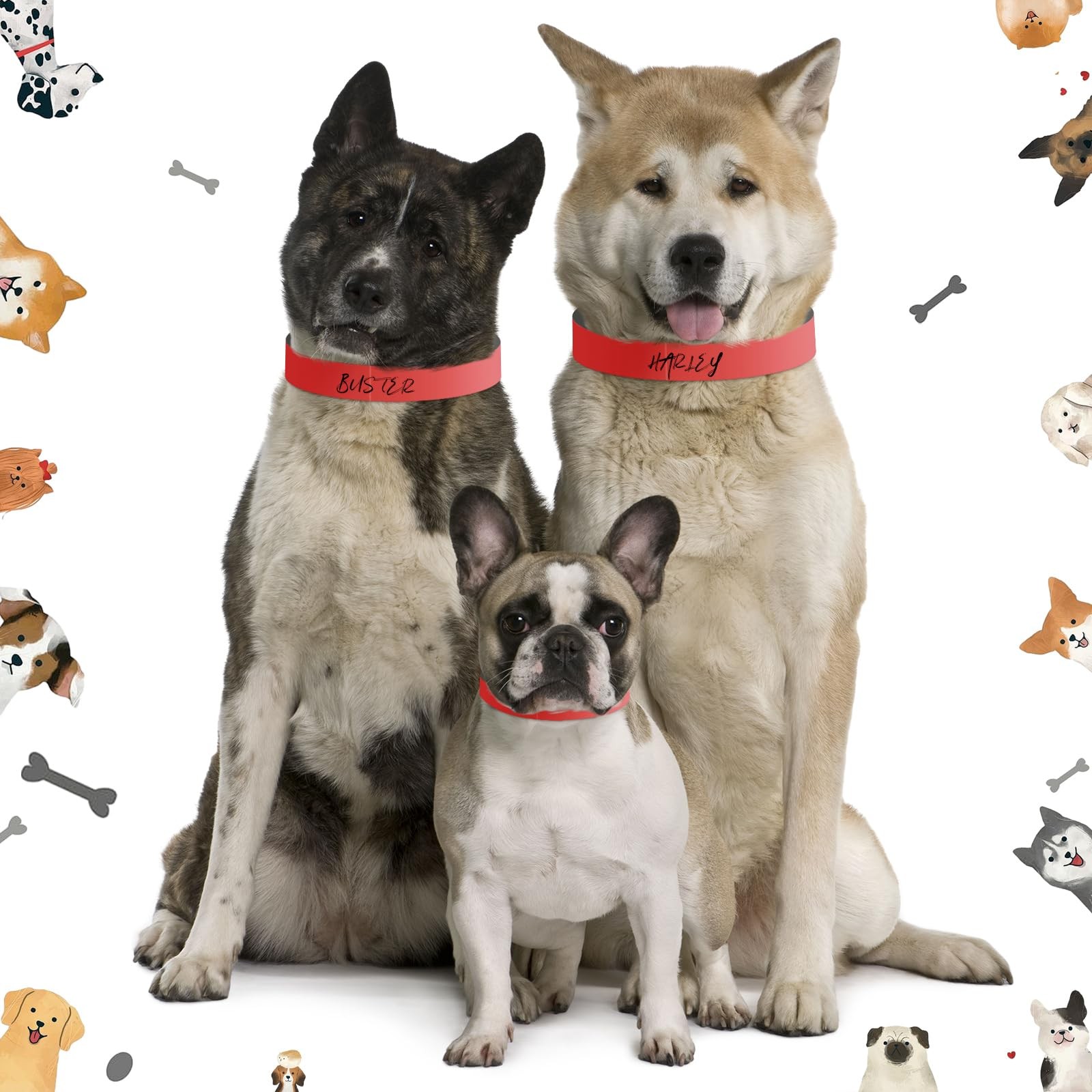 500 Count 20inch Adjustable Paper Dog Collars with Tear Resistant Waterproof ...