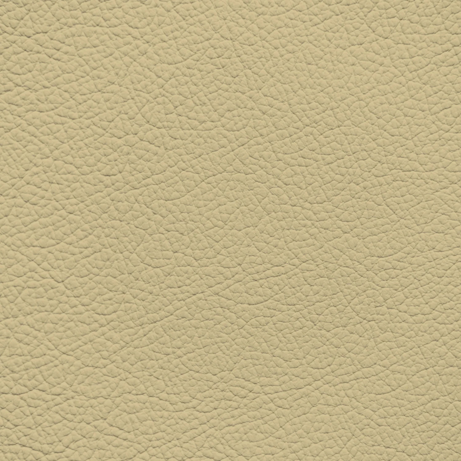 Audi Beige - Tottone Leather Dye