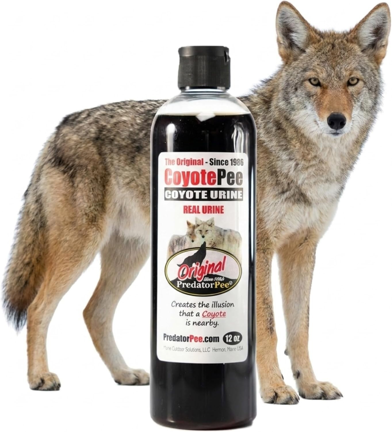 PredatorPee 100% Coyote Urine Natural Animal Scent Outdoor Use Made in USA