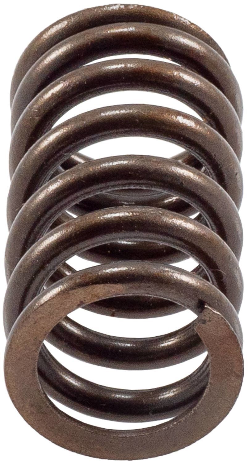 Engine Valve Spring-Stock Melling VS-110
