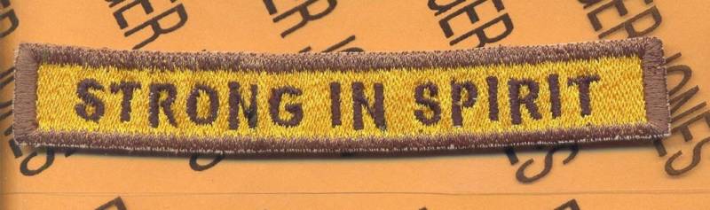 174th Armored "STRONG IN SPIRIT" TANK TAB patch