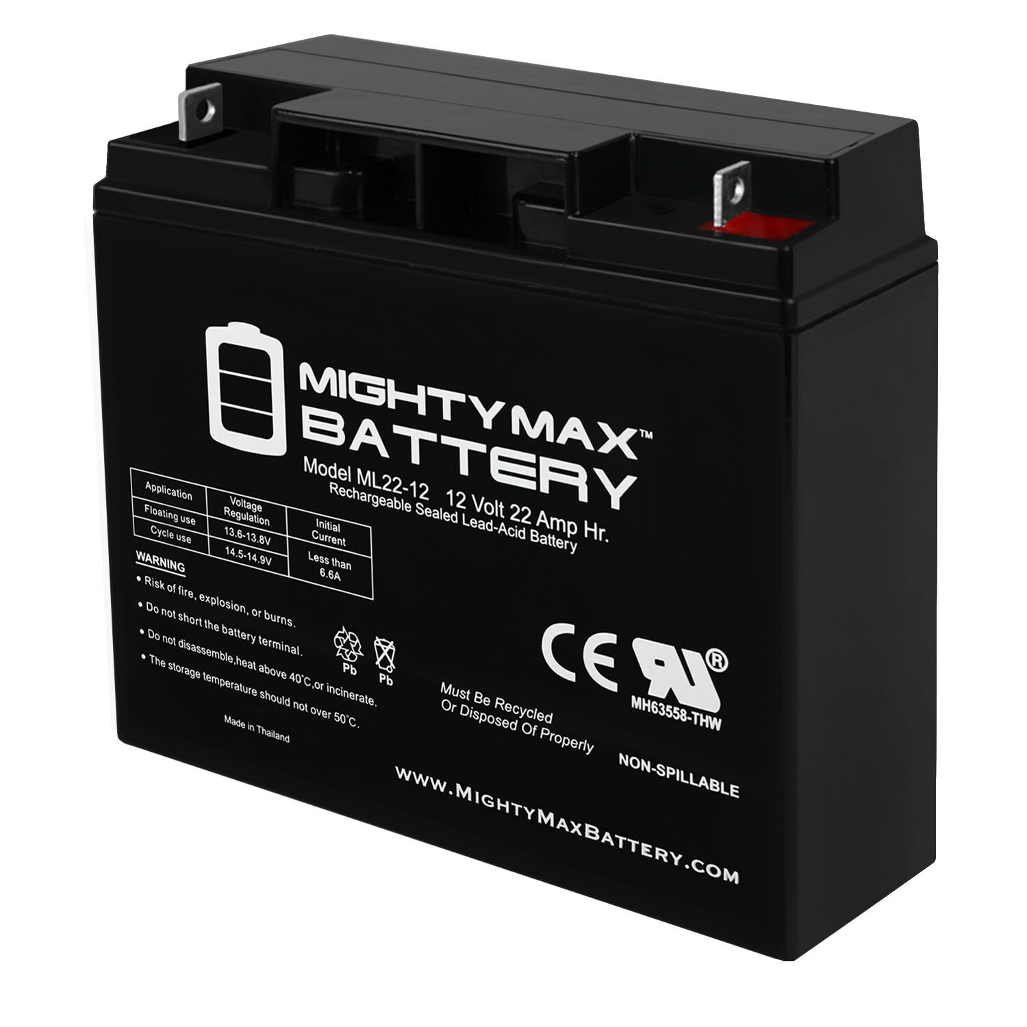 Mighty Max 12V 22AH SLA Replacement Battery for Leoch LPX12-20