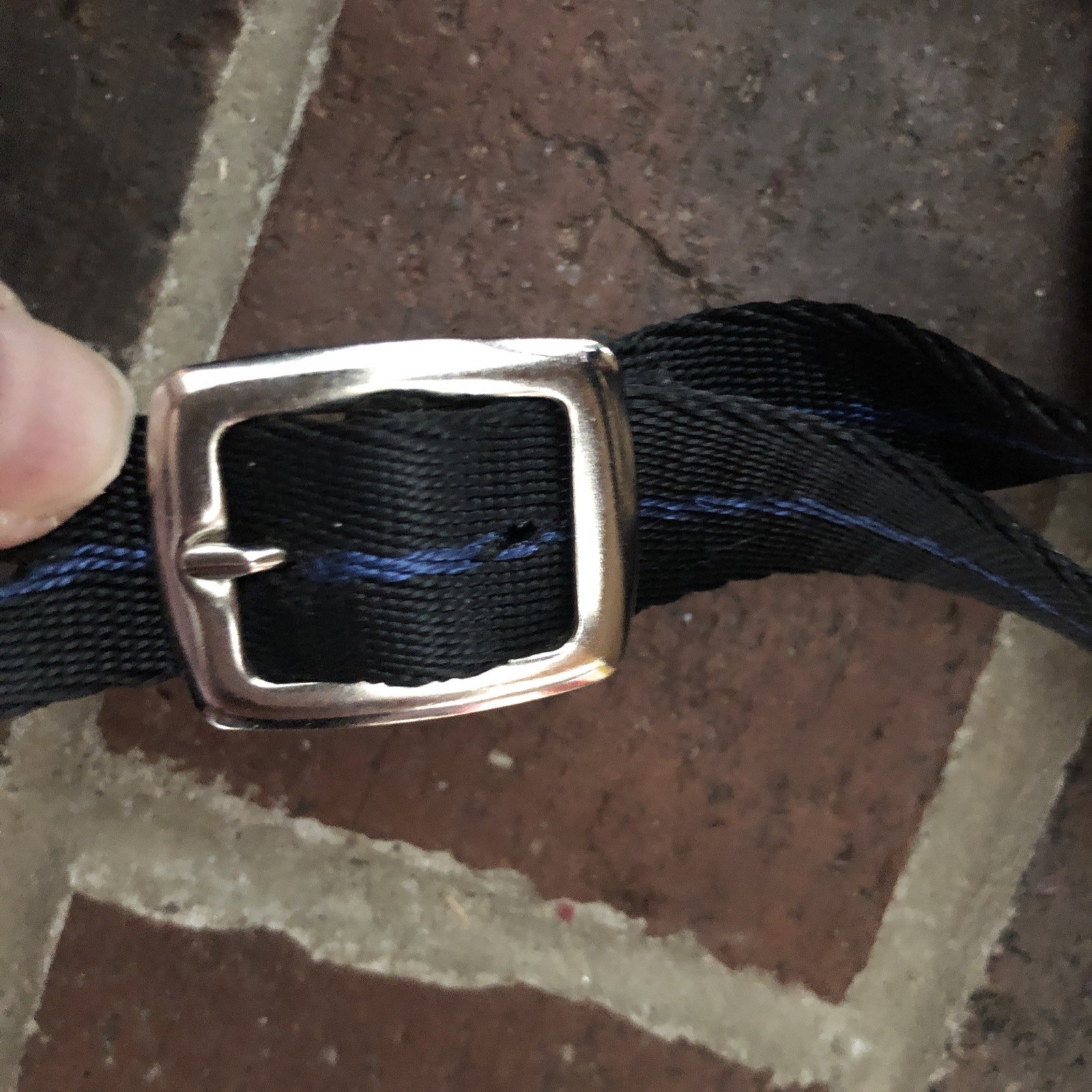 Dog Muzzle Large Size 5 Black 5” Long 16.5 Circumstance 2 Adjustable Straps
