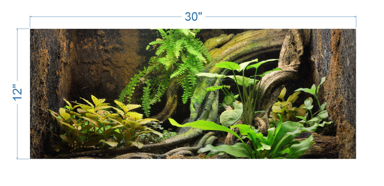 Tropical Environment 2 - "Not Peel and Stick" Terrarium Background TRB0006