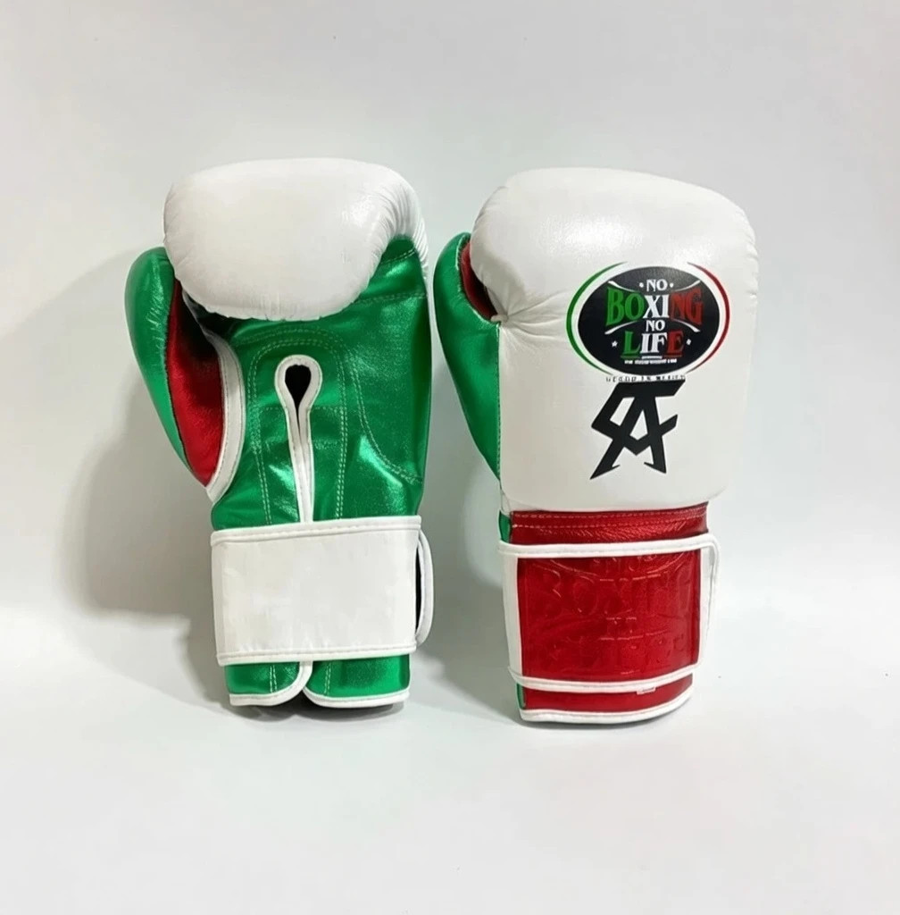 No Boxing No Life Boxing Gloves Pro Training Sparring winning boxing gloves