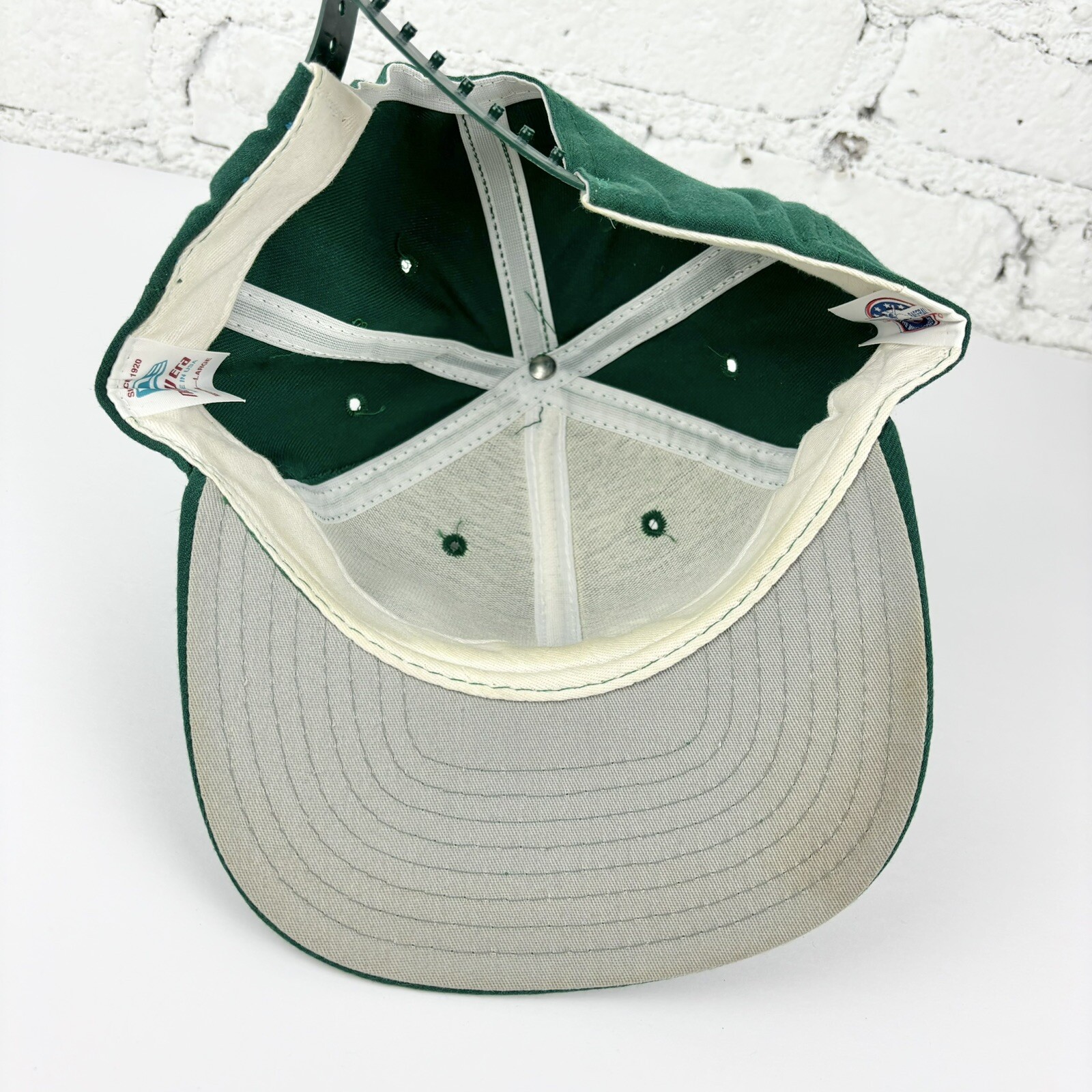 Vintage St. Petersburg Devil Rays MILB Ball Cap